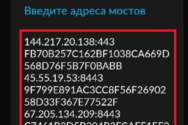 Kraken biz