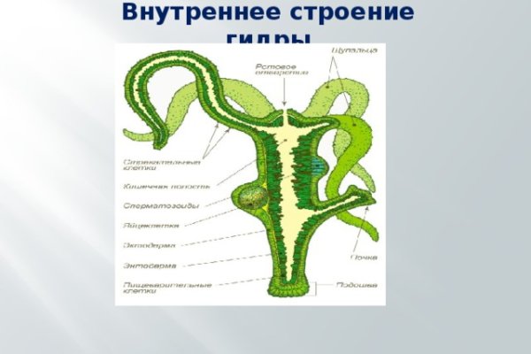 Почему не работает кракен kr2web in