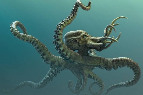 Кракен сайт 1kraken me